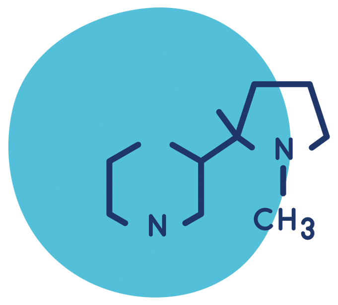 Nicotine Icon