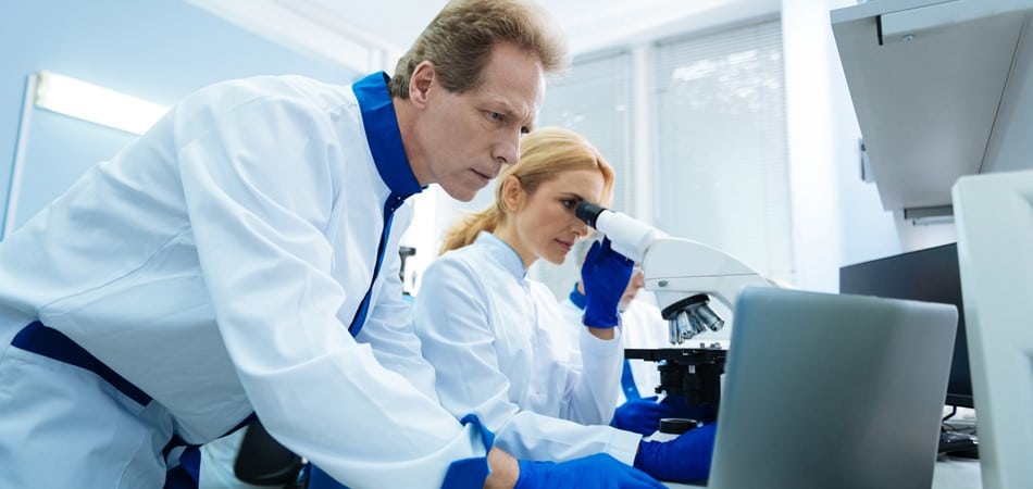 Two scientists in a laboratory setting